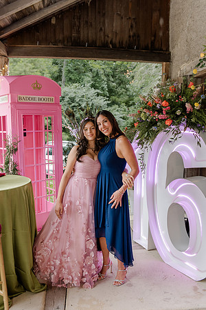 Violet's Sweet 16 Midnight Garden Party