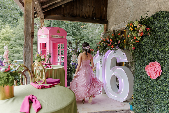 Violet's Sweet 16 Midnight Garden Party