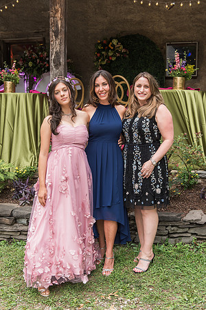 Violet's Sweet 16 Midnight Garden Party