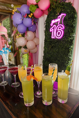 Violet's Sweet 16 Midnight Garden Party