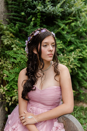 Violet's Sweet 16 Midnight Garden Party