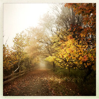 fine art photography