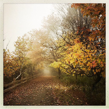 fine art photography
