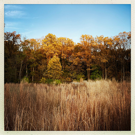 fine art photography