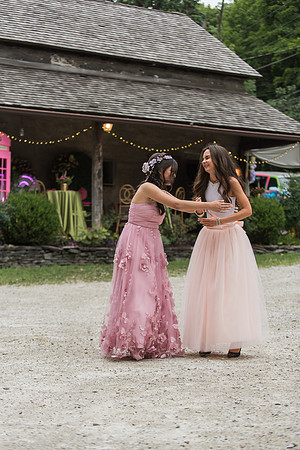 Violet's Sweet 16 Midnight Garden Party