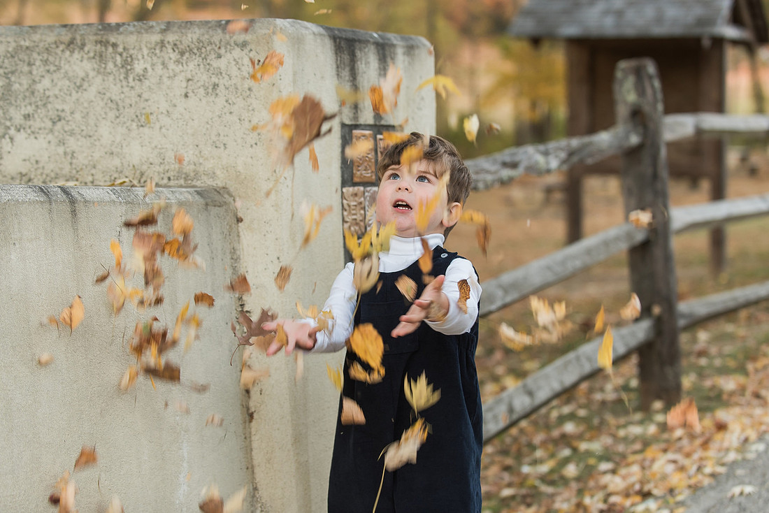 The Willows golden hour family session 2024