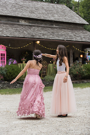 Violet's Sweet 16 Midnight Garden Party