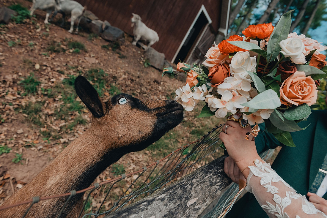 Jenna and Erik's Schwenksville farm wedding