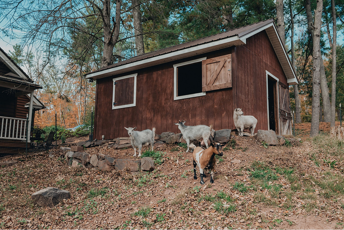 Jenna and Erik's Schwenksville farm wedding