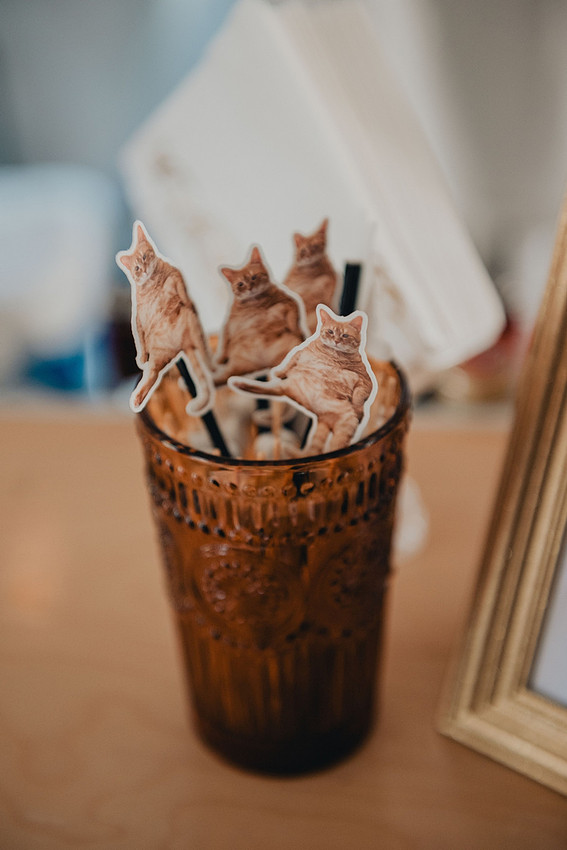 Jenna and Erik's Schwenksville farm wedding