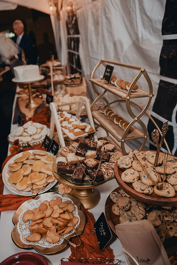 Jenna and Erik's Schwenksville farm wedding