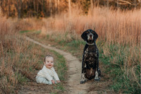 Courtin family 2025 blog