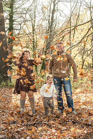 Kleiman families