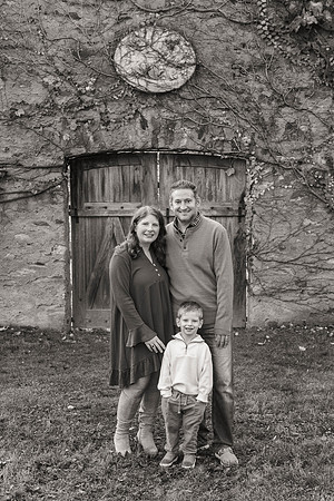 Kleiman families