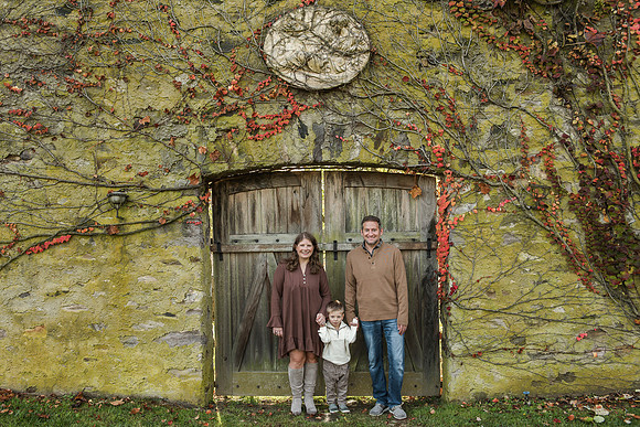 Kleiman families