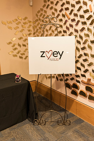 Zoey's Bat Mitzvah