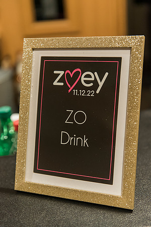 Zoey's Bat Mitzvah