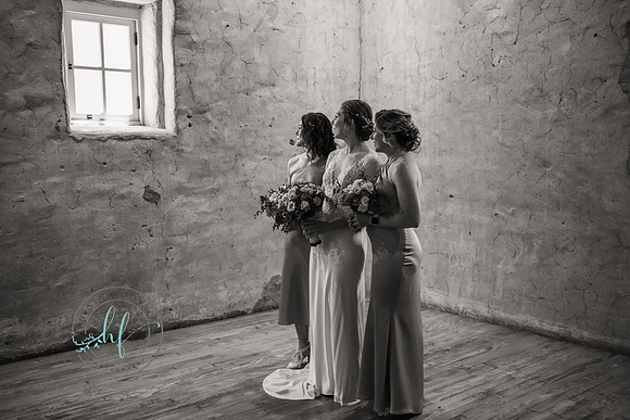Audubon wedding and Spring Mill Cafe reception blog