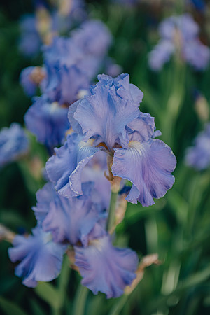 091