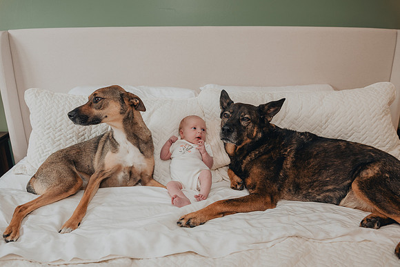 Sadie Sobel newborn