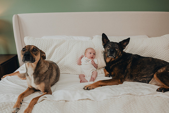 Sadie Sobel newborn