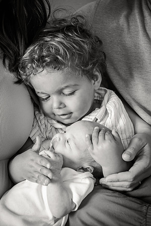 Sadie Sobel newborn