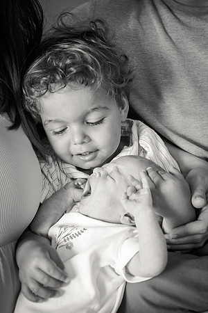 Sadie Sobel newborn