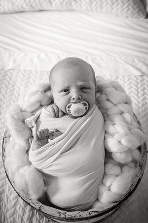 Sadie Sobel newborn