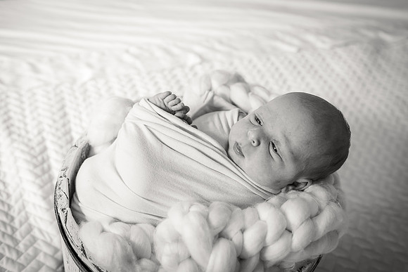 Sadie Sobel newborn