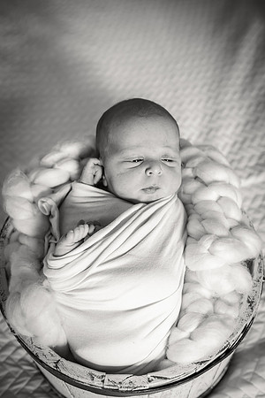 Sadie Sobel newborn