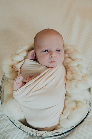 Sadie Sobel newborn