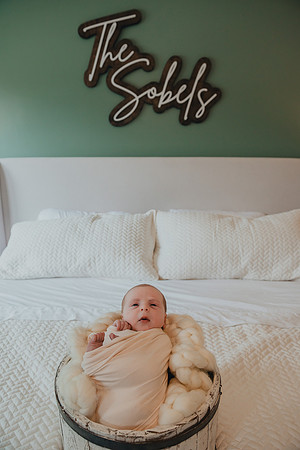 Sadie Sobel newborn