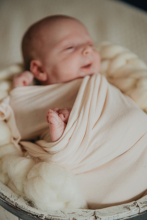 Sadie Sobel newborn