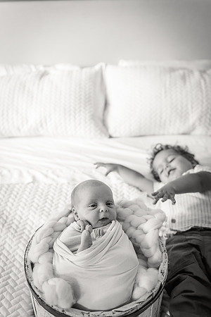 Sadie Sobel newborn