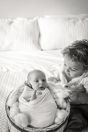 Sadie Sobel newborn