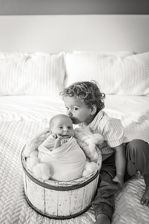 Sadie Sobel newborn