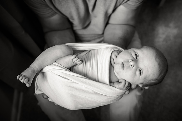Sadie Sobel newborn