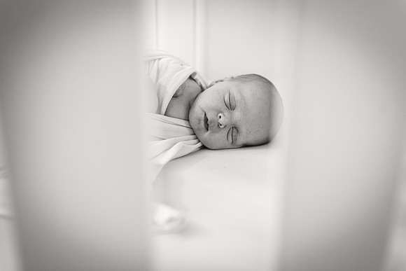 Sadie Sobel newborn