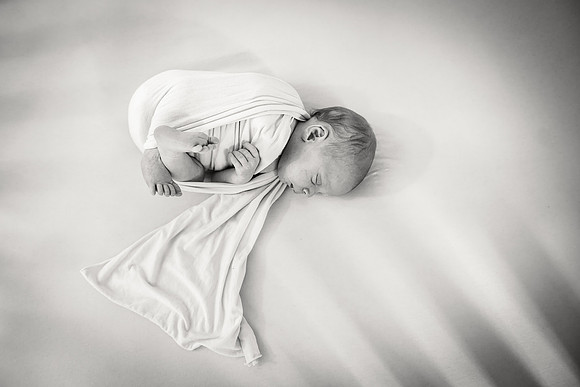 Sadie Sobel newborn