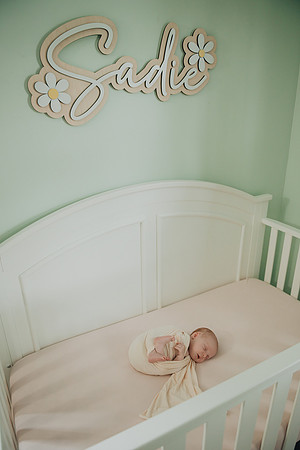 Sadie Sobel newborn
