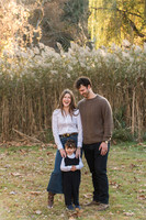 The Willows golden hour family session 2024