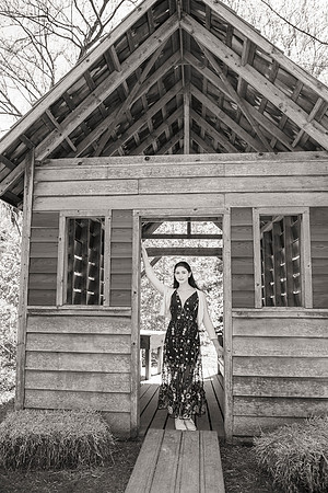 Amanda's Bat Mitzvah