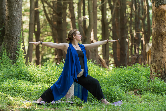 Jana yoga book