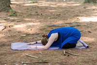 Jana yoga book