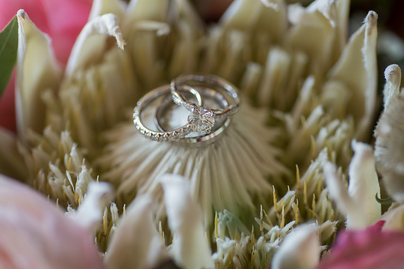 Halim Wu wedding