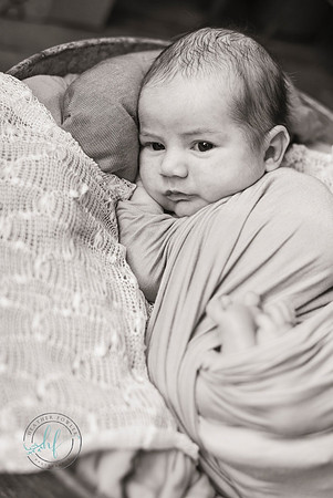 newborn Theo
