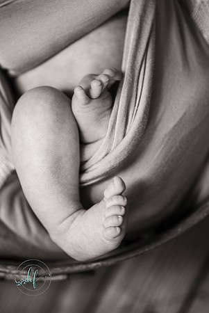 newborn Theo