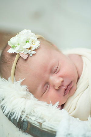 newborn Amelia