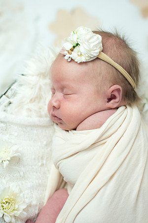 newborn Amelia