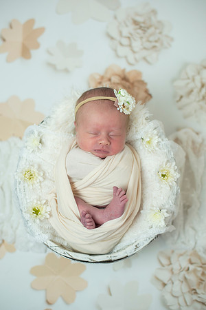 newborn Amelia